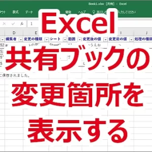Excel 共有ブックの変更箇所を表示する