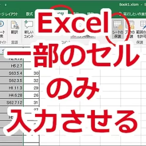 Excel シートの一部のセルだけ入力させたい