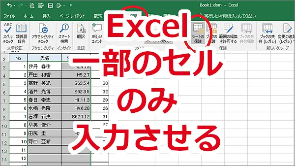 Excel シートの一部のセルだけ入力させたい