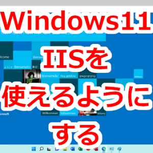 Windows11IIS